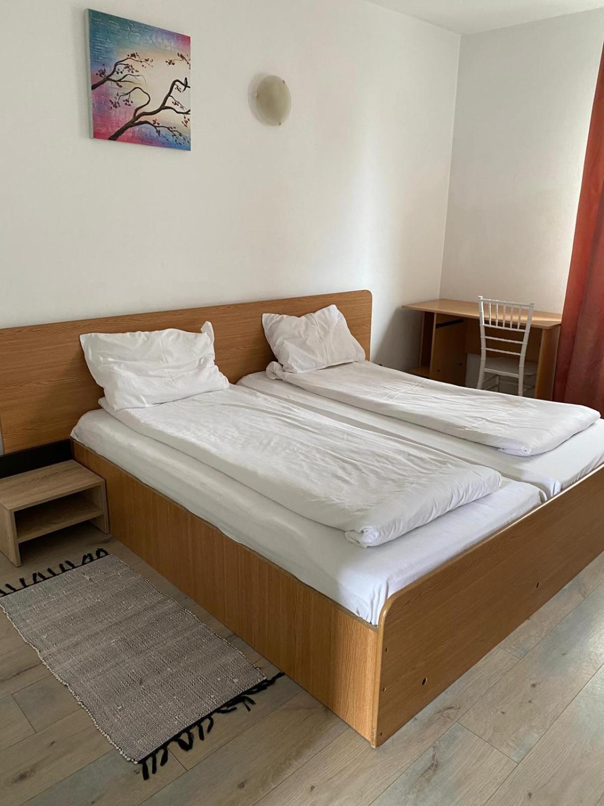 Motel Dacia Sebes (Alba)